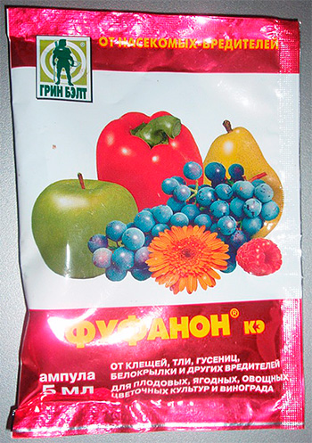 Fufanon avec une seule application n'aide pas toujours avec les punaises de lit