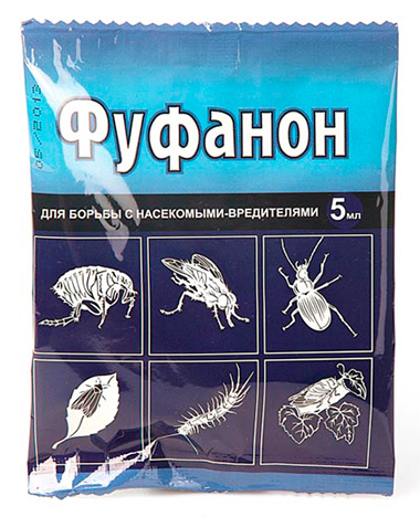 Les punaises de lit peuvent développer une résistance au Fufanon