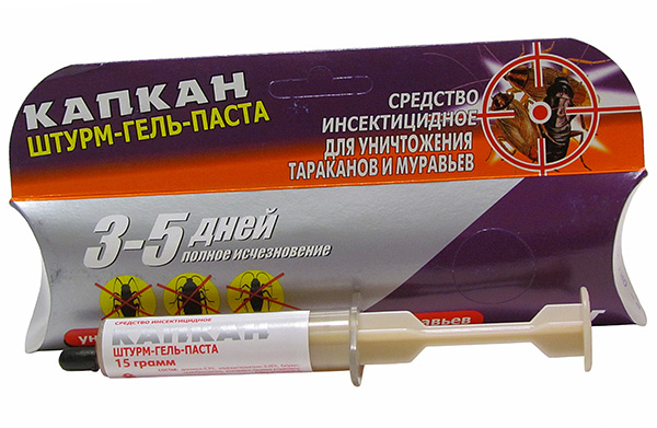 Sturm-gel-pâte de cafards