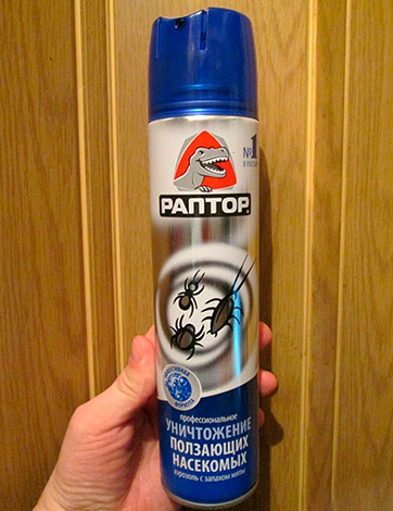 Aérosol Raptor d'insectes rampants