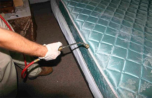 Prévention des punaises de lit