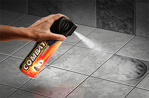 Il existe de nombreuses façons de tuer les cafards dans un appartement.