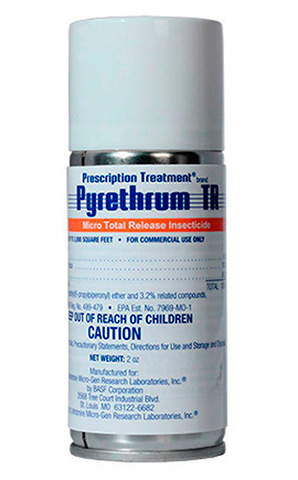 Grande camomille insecticide