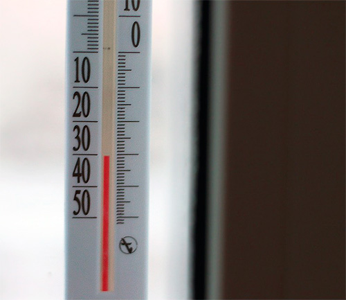 Les punaises de lit meurent dans le froid