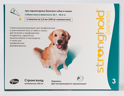 Gouttes anti-puces pour chiens Stronghold