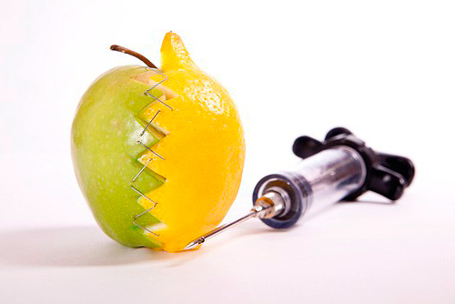 Les OGM pourraient être à l'origine de l'extinction massive des cafards