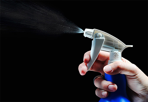 Les insecticides de contact sont efficaces lorsqu'ils sont pulvérisés