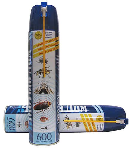 Clean House - spray anti-punaises de lit sous forme d'aérosol