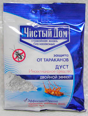 Maison propre sous forme de poussière