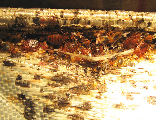 Aerosol Clean House ne laisse pas de taches sur les tissus d'ameublement et les matelas