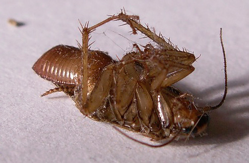 Get a également un effet barrière bien défini.