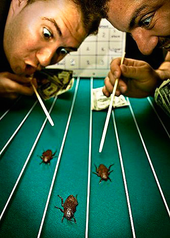 Pendant la course, il est permis de conduire un cafard