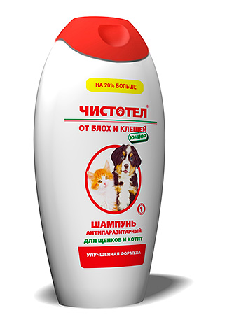 Shampooing aux puces Chélidoine