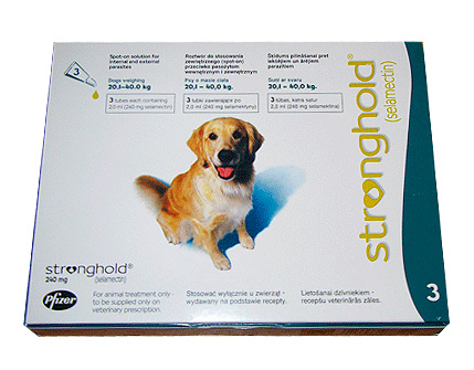 Gouttes de puces sur le garrot pour les chiens Stronghold