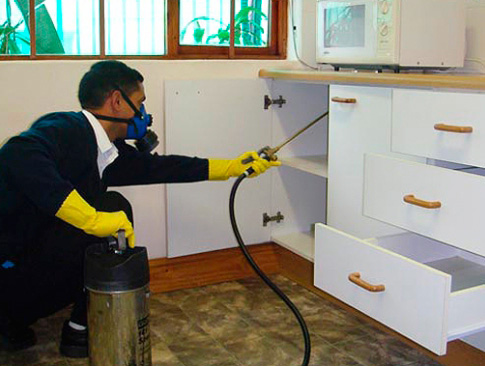 Faire appel à des exterminateurs professionnels est le moyen le plus fiable de se débarrasser des puces