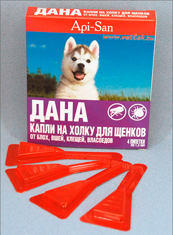 Dana : gouttes sur le garrot pour les chiots