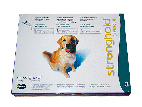 Butins de forteresse