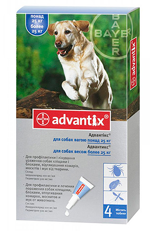 Advantix contre les puces