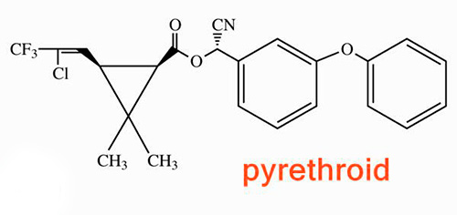 Un exemple de la structure chimique des pyréthroïdes