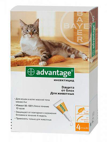 Tombe au garrot Avantage