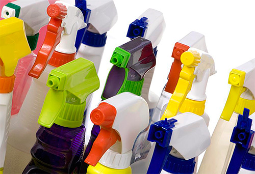 Les sprays anti-puces peuvent tuer les parasites très rapidement