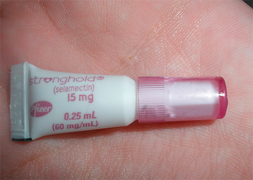 Les gouttes de puces au garrot aident à la fois à éliminer les parasites existants et à prévenir leur réapparition