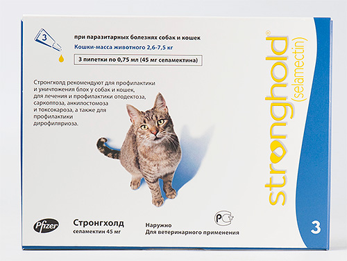 Gouttes sur le garrot