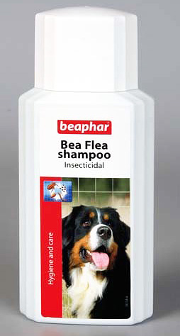 Le shampooing anti-puces Beaphar est cher, mais efficace et sans danger pour les chiens