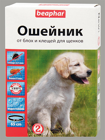 Le collier Beaphar conserve ses propriétés jusqu'à 5 mois