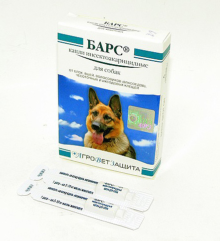 Lâche les barres des puces