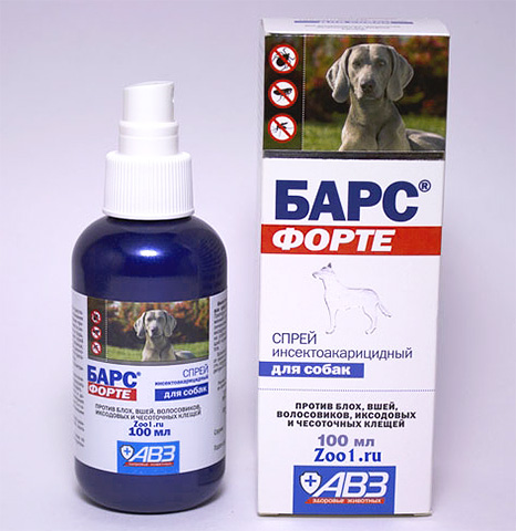 Sprays anti-puces pour chiens - efficaces, mais plutôt toxiques
