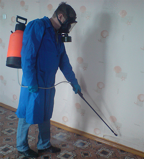 Il est préférable de confier le traitement des locaux à un homme en bonne santé