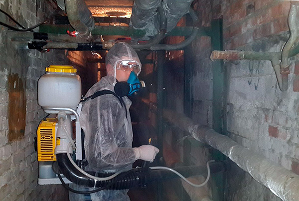 Pour traiter le sous-sol d'un immeuble à partir de puces de terre, il est conseillé d'impliquer SES.