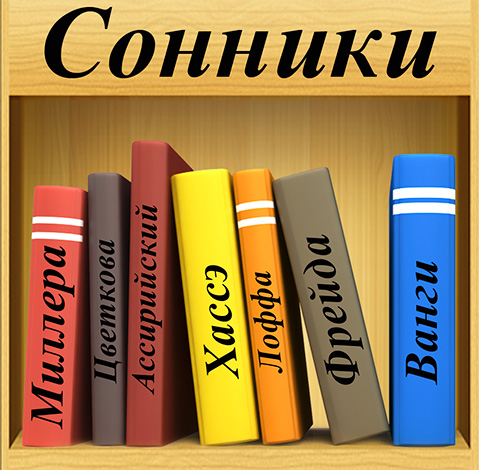 Que disent divers livres de rêves sur les fourmis dans un rêve