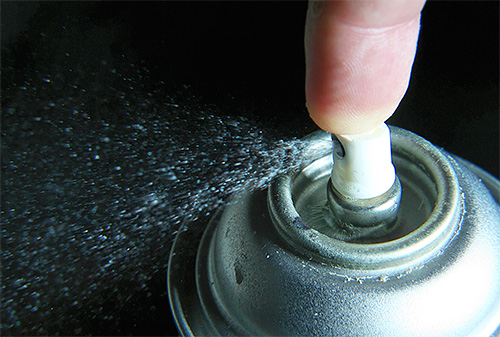 Les aérosols vous permettent de détruire rapidement les insectes déjà présents dans l'appartement ou leur nid trouvé