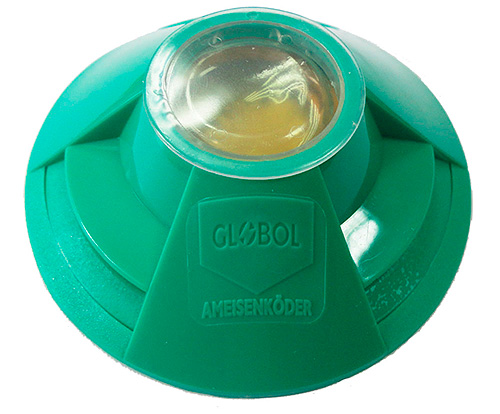 Piège à fourmis Globol - rempli de poison