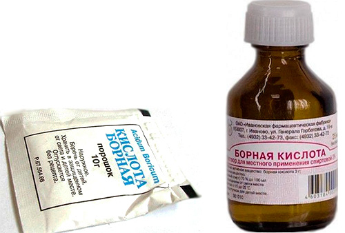 L'acide borique est un ancien et efficace exterminateur de fourmis domestiques.