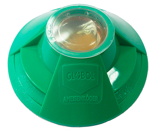 Exemple de piège à fourmis avec gel insecticide à l'intérieur (piège Globol)