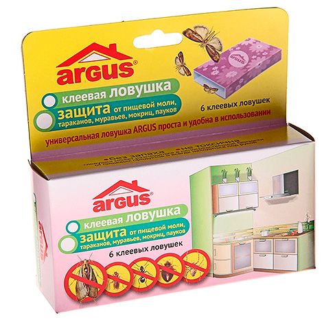 Piège à insectes à colle (collant)