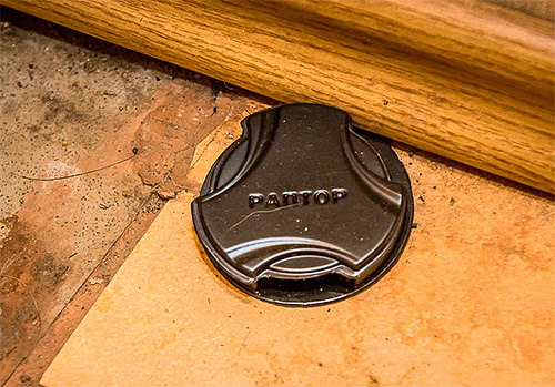 Il est important de choisir le bon endroit lorsque vous placez un piège à fourmis