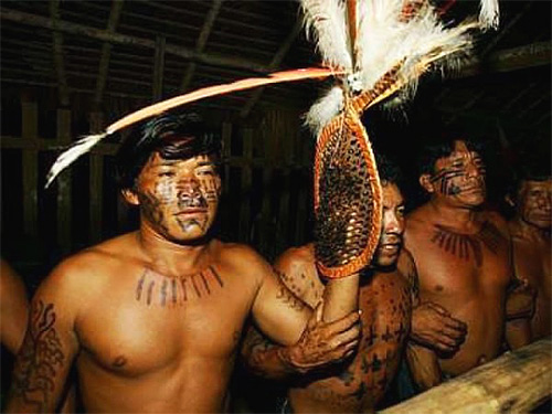 Mettre une manche avec des fourmis sur la main
