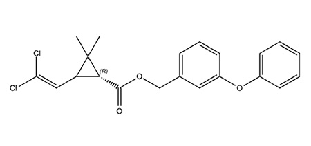 Les insecticides pour colliers peuvent provoquer des allergies chez les chiens