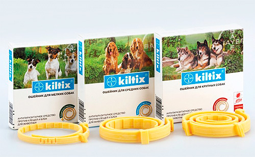 Colliers anti-puces pour chiens Kiltix