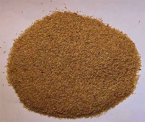 Fleurs de pyrèthre séchées et broyées