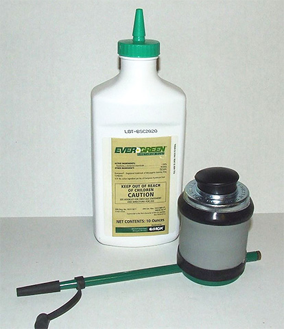 La grande camomille peut être trouvée sur Amazon sous le nom de poussière de pyrèthre.