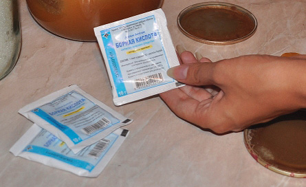 Acide borique - un remède efficace contre les fourmis