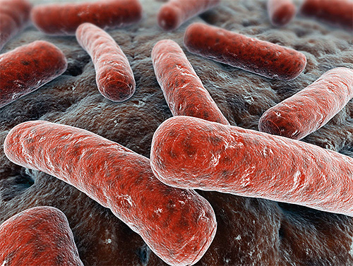 Du point de vue du bon sens, l'extrait miracle ne pourra pas détruire sélectivement uniquement les mycobactéries responsables de la tuberculose.