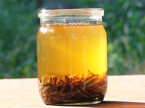 Extrait ou est-ce une teinture de teigne de cire?