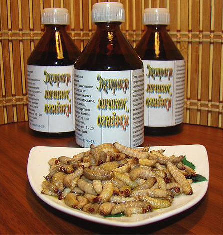 Il ressemble à un extrait de larves de papillon de nuit, ou teigne de la cire, en vente. Dans l'assiette - les larves elles-mêmes