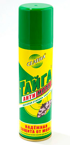 Taïga Antimol